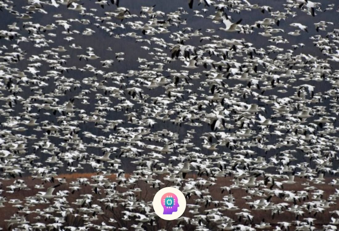 Quant Finance Leaders Warn Graduates Are Not Ready for an AI-Driven Future